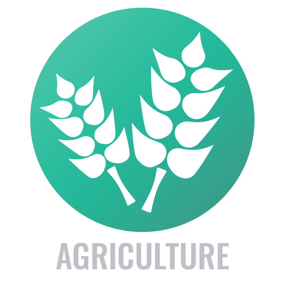 Agriculture Text-1