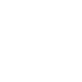 Caleva Logo