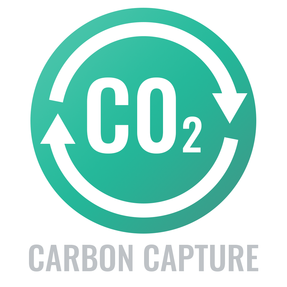 Carbon Capture Text-1