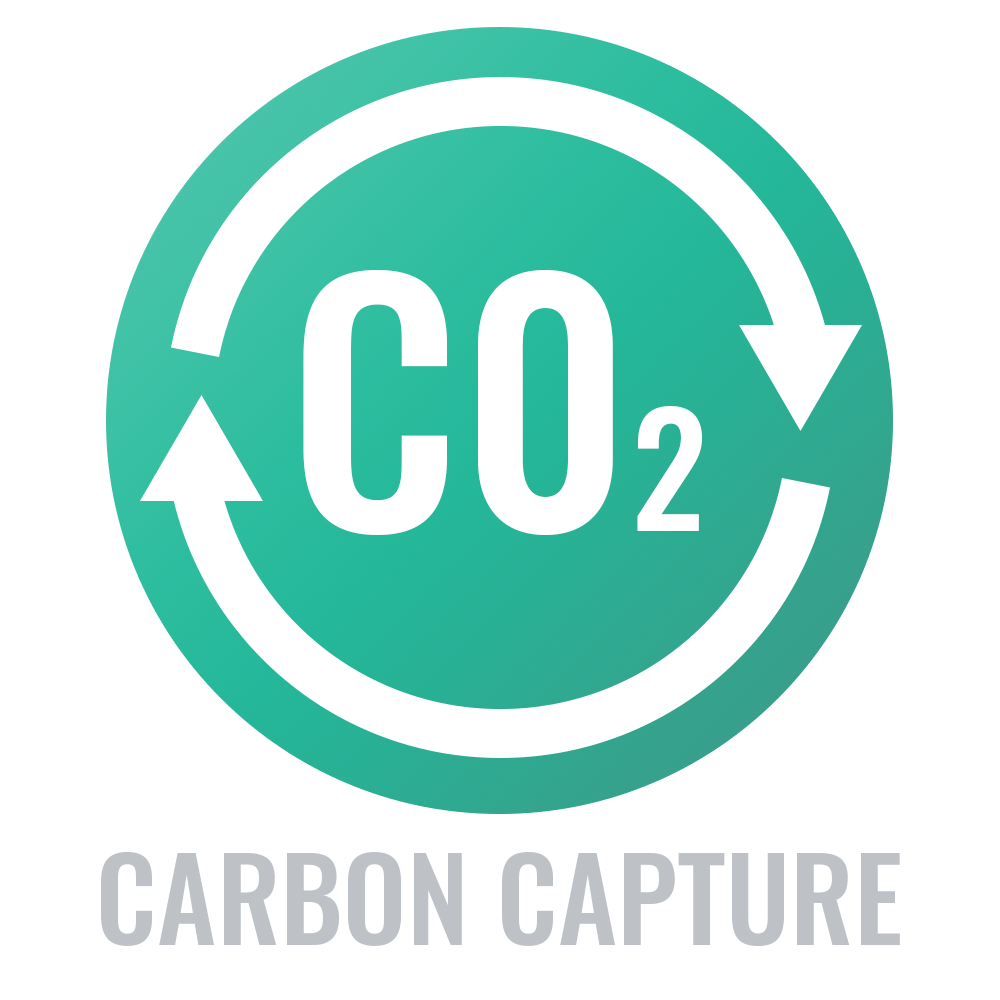 Carbon Capture Text