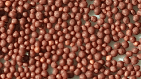 caleva-pellet-samples-after-drying-image3