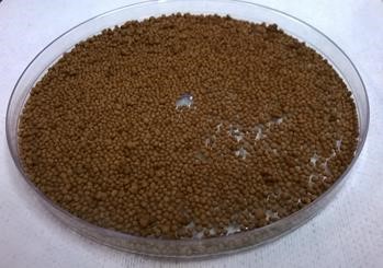 diffucap-trial-2-pellet-results-photograph