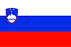 Slovenian flag